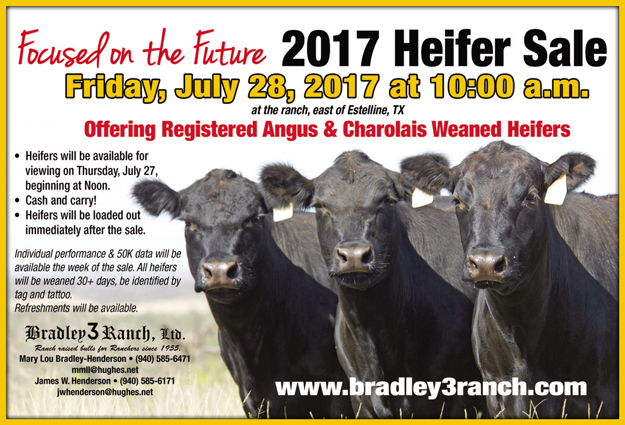 Heifer Sale
