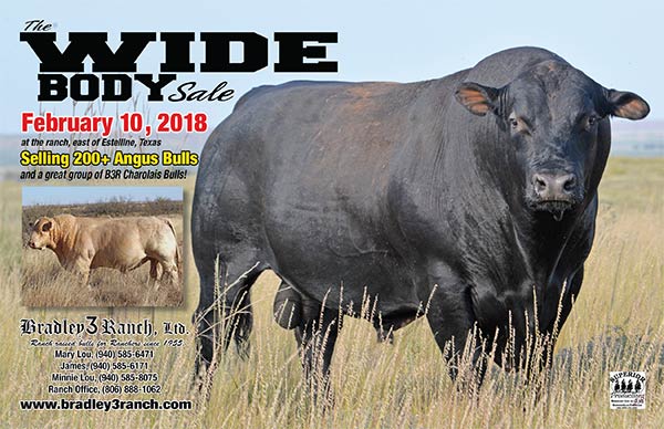 The Wide Body Sale