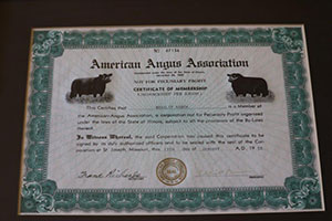 1958 Angus membership