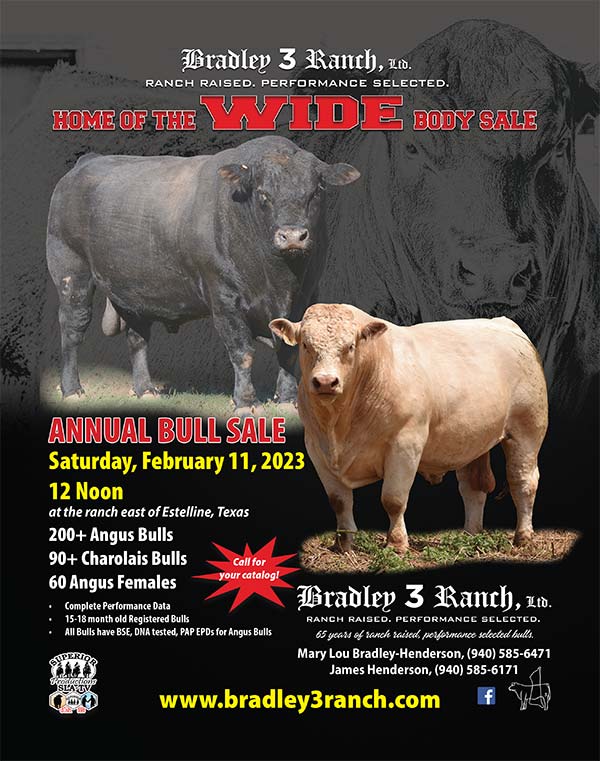 February Wide Body Sale ad