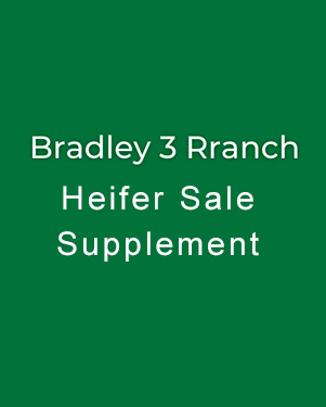 Sortable Spreadsheet Icon