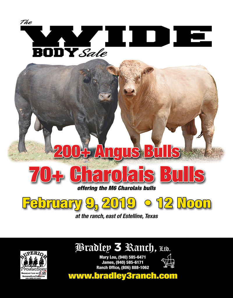 2019 Wide Body Sale ad