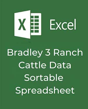 Sortable Spreadsheet Icon
