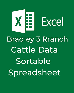 Sortable Spreadsheet Icon