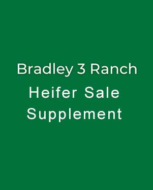 Sortable Spreadsheet Icon